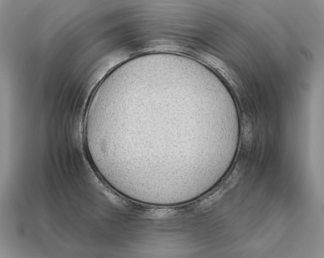 X0000113041282200909241427