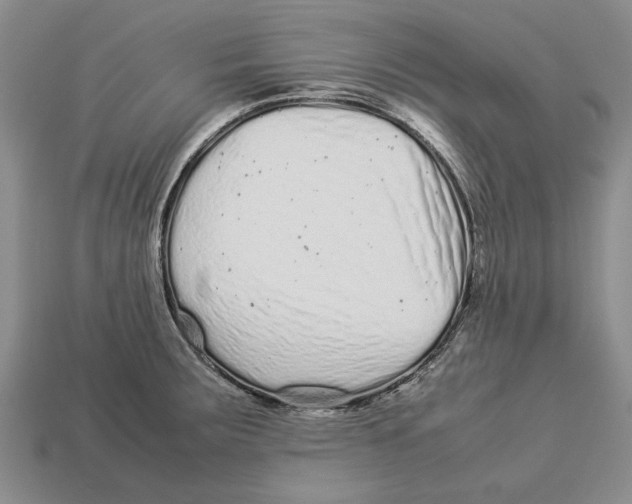 X0000113041283200909241427