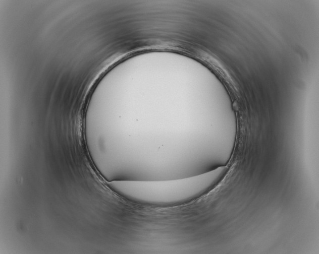 X0000113041284200909241427
