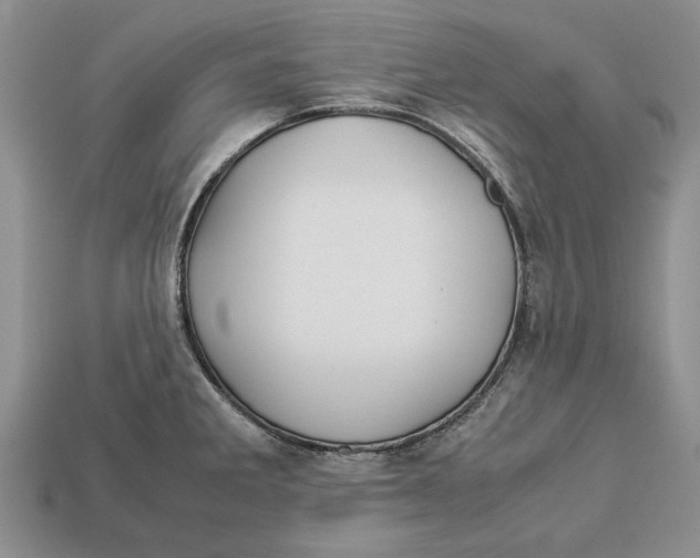 X0000113041285200909241427