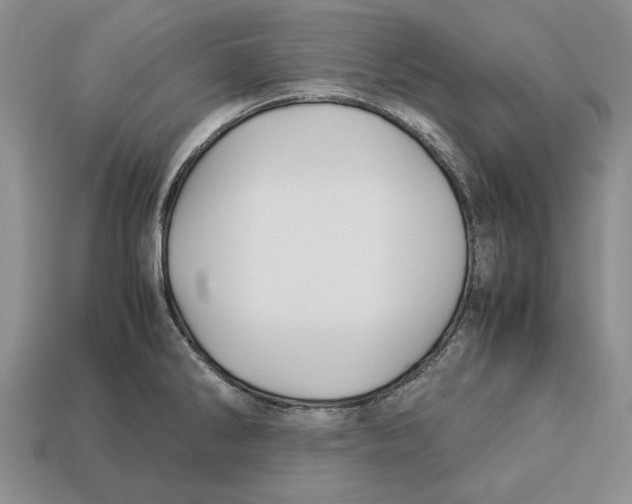 X0000113041286200909241427