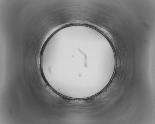 X0000113041287200909241427