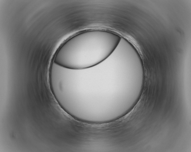 X0000113041288200909241427