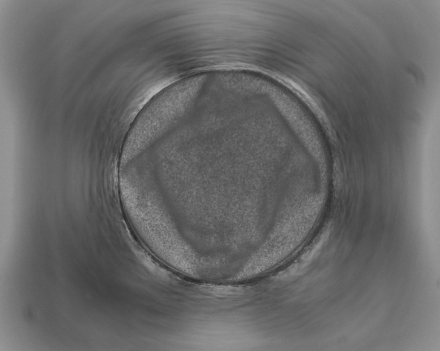 X0000113041289200909241427