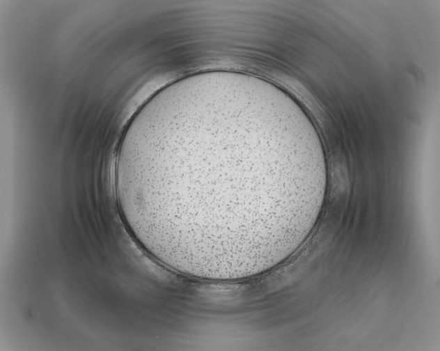 X0000113041290200909241427