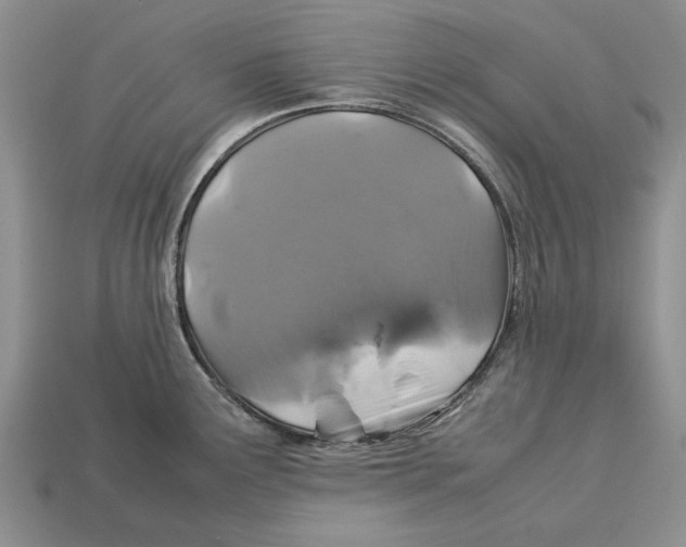 X0000113041291200909241427