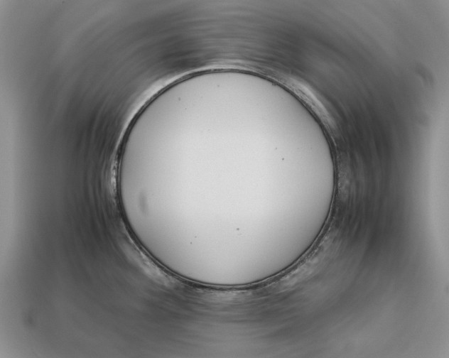 X0000113041292200909241427