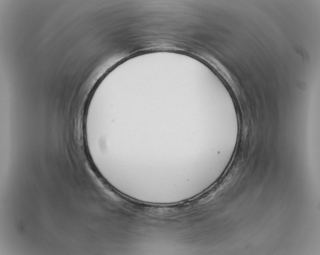 X0000113041293200909241426