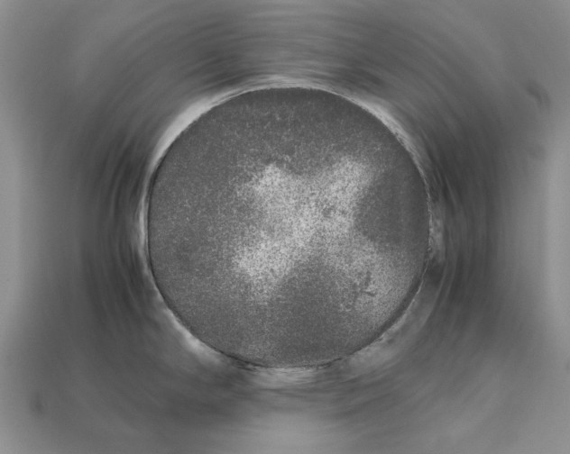 X0000113041294200909241426