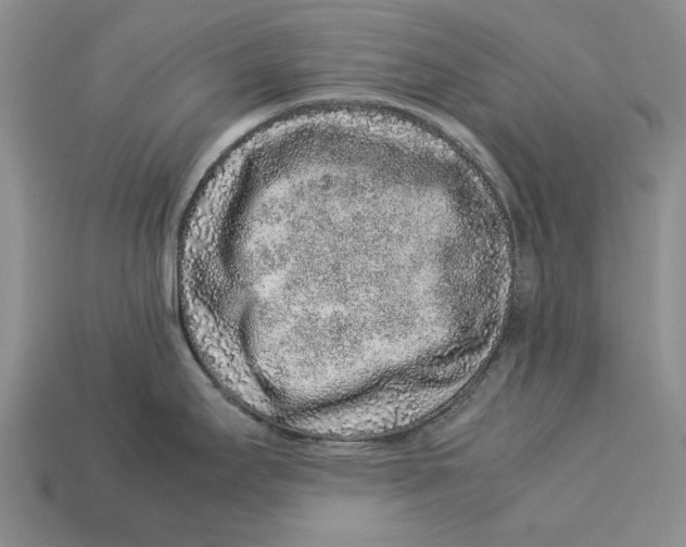 X0000113041295200909241426