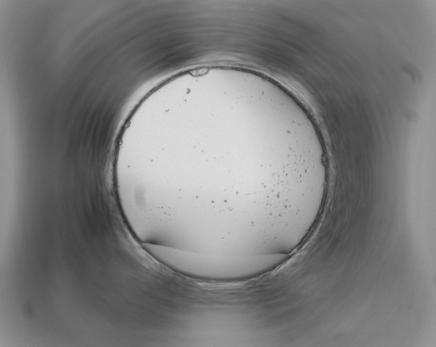 X0000113041296200909241426