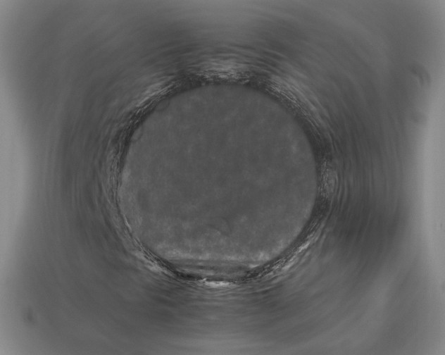 X0000113041297200909241426