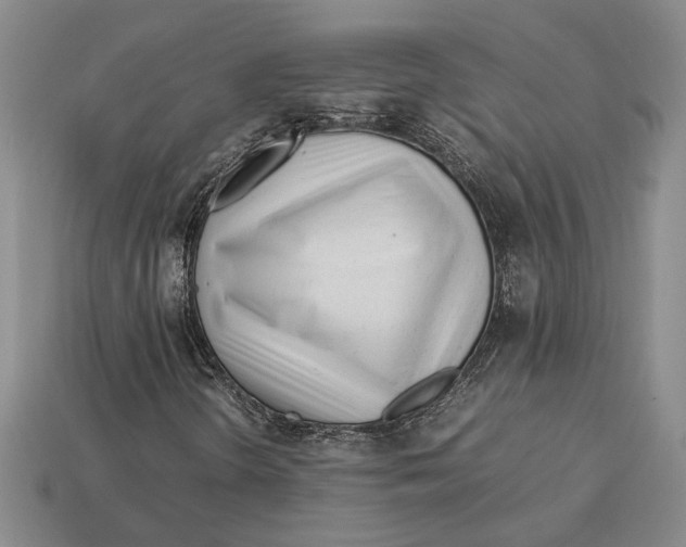 X0000113041298200909241426