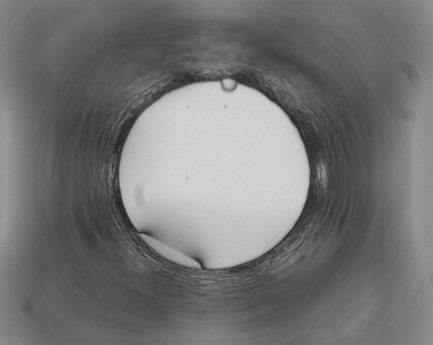 X0000113041300200909241426