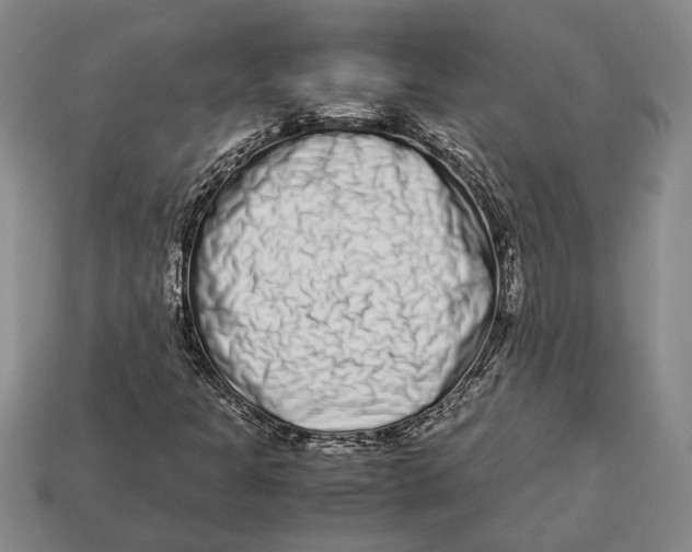 X0000113041301200909241426