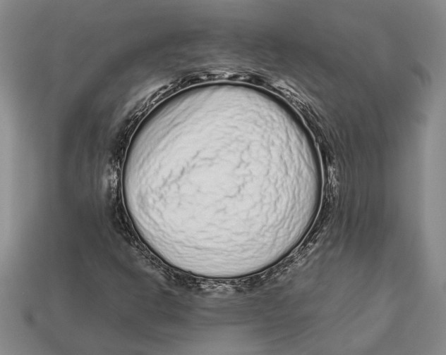 X0000113041302200909241426