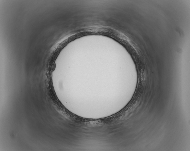 X0000113041304200909241426