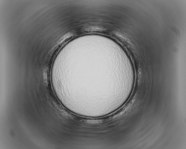 X0000113041305200909241426