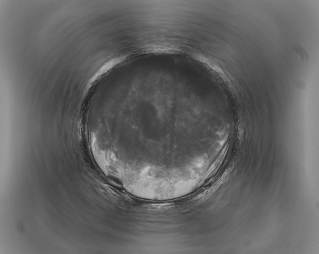 X0000113041306200909241426