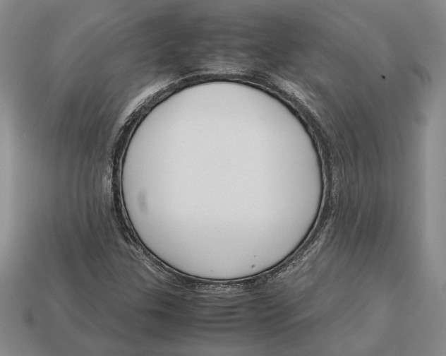 X0000113041307200909241426