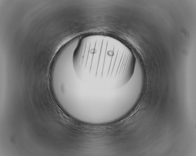 X0000113041308200909241426