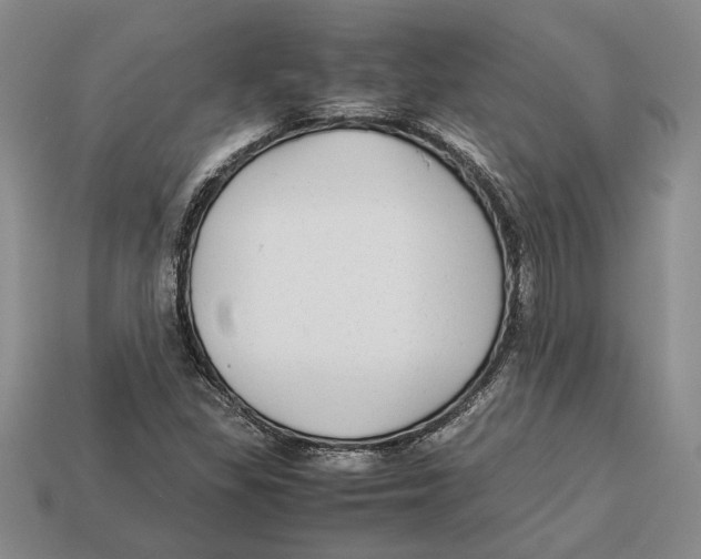 X0000113041309200909241426