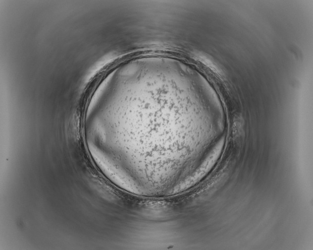 X0000113041310200909241426
