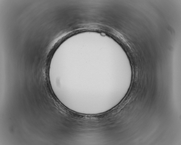 X0000113041312200909241426
