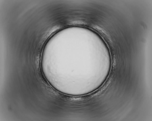 X0000113041313200909241426