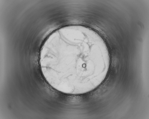 X0000113041314200909241426