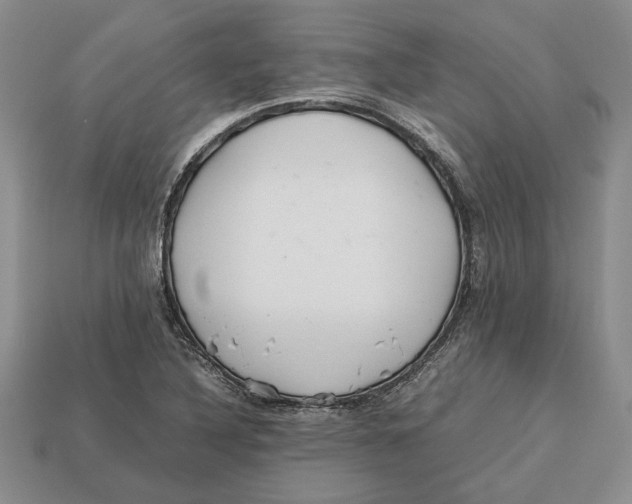 X0000113041316200909241426