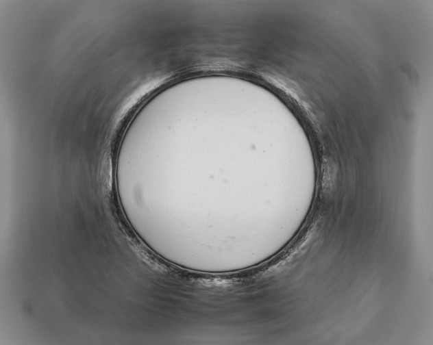 X0000113041317200909241426