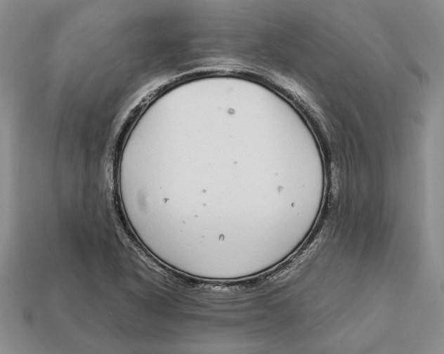 X0000113041318200909241426