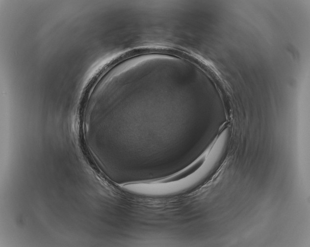 X0000113041319200909241426