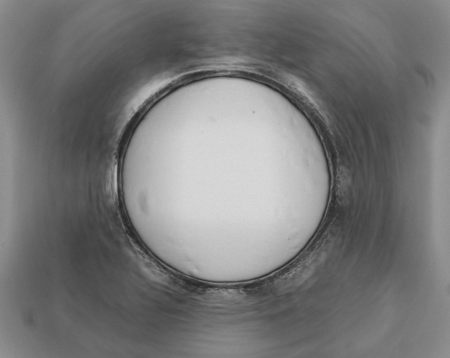 X0000113041320200909241426