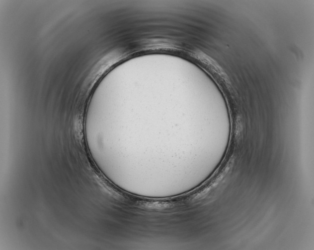 X0000113041321200909241426