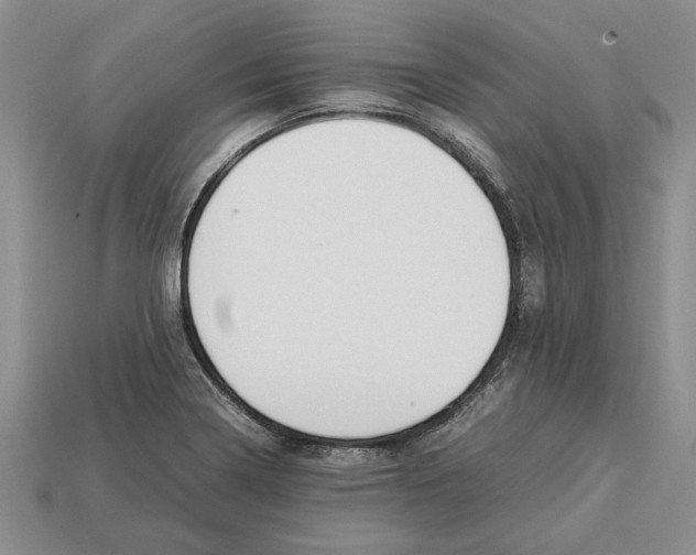 X0000113041322200909241426