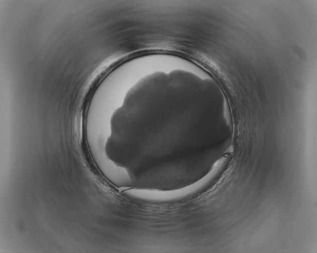 X0000113041323200909241426