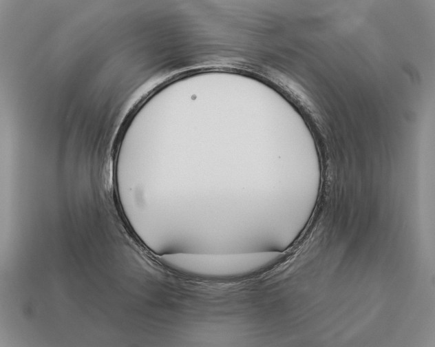 X0000113041324200909241426