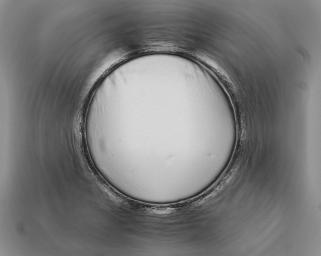 X0000113041325200909241426