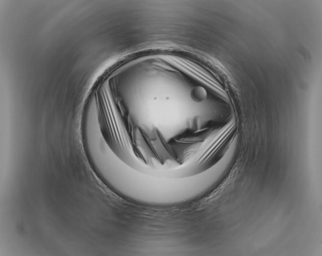 X0000113041326200909241426