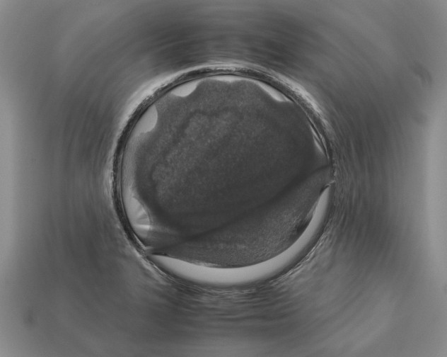 X0000113041327200909241426