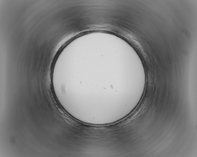 X0000113041328200909241426