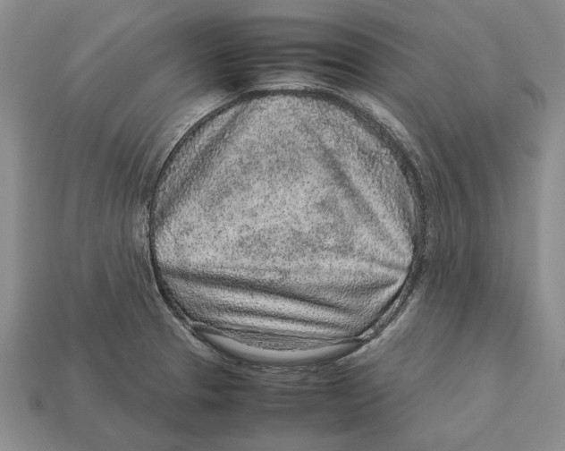 X0000113041329200909241426