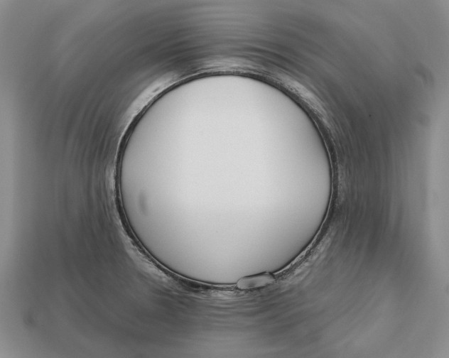 X0000113041330200909241426