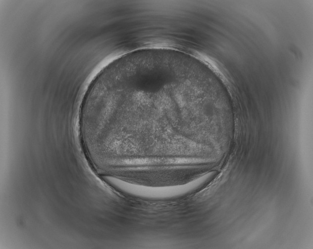 X0000113041331200909241426