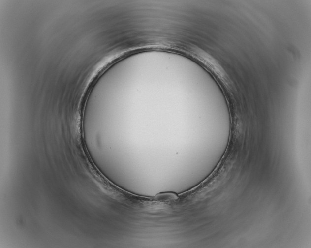 X0000113041332200909241426