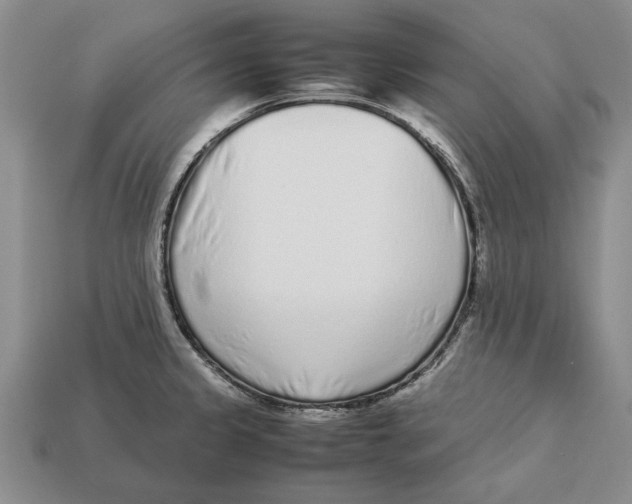 X0000113041333200909241426