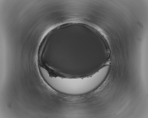 X0000113041334200909241426