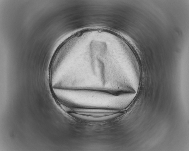 X0000113041335200909241426